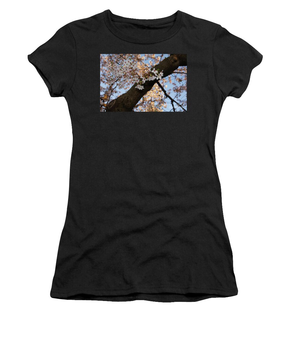 Cherry Blossoms Women's T-Shirt featuring the photograph Cherry Blossoms by Megan Cohen