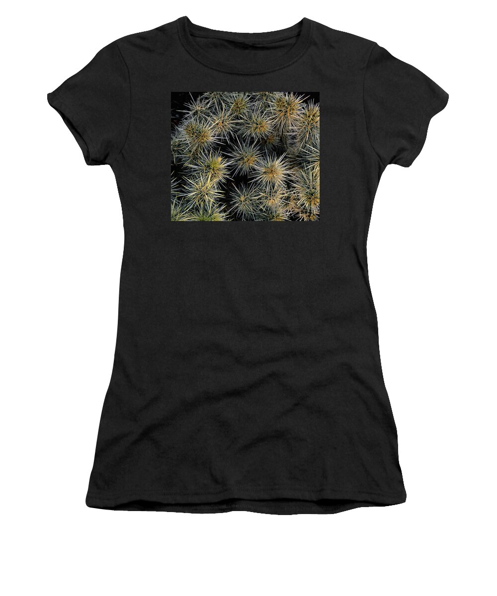 Landscape Women's T-Shirt featuring the photograph Cholla Cactus Cluster by Paul Breitkreuz