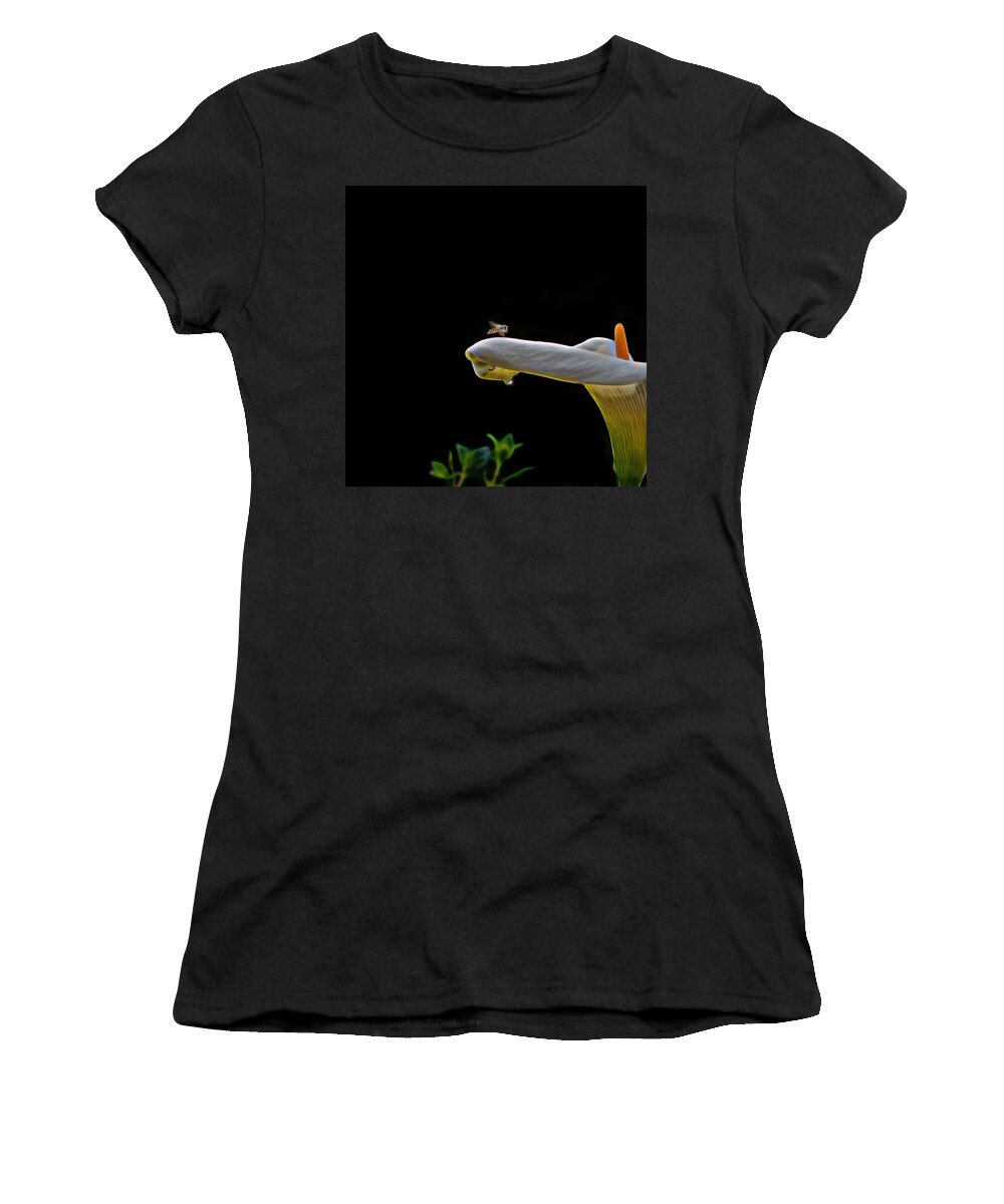 Bee Women's T-Shirt featuring the photograph Clear For Landing by Mike Gifford