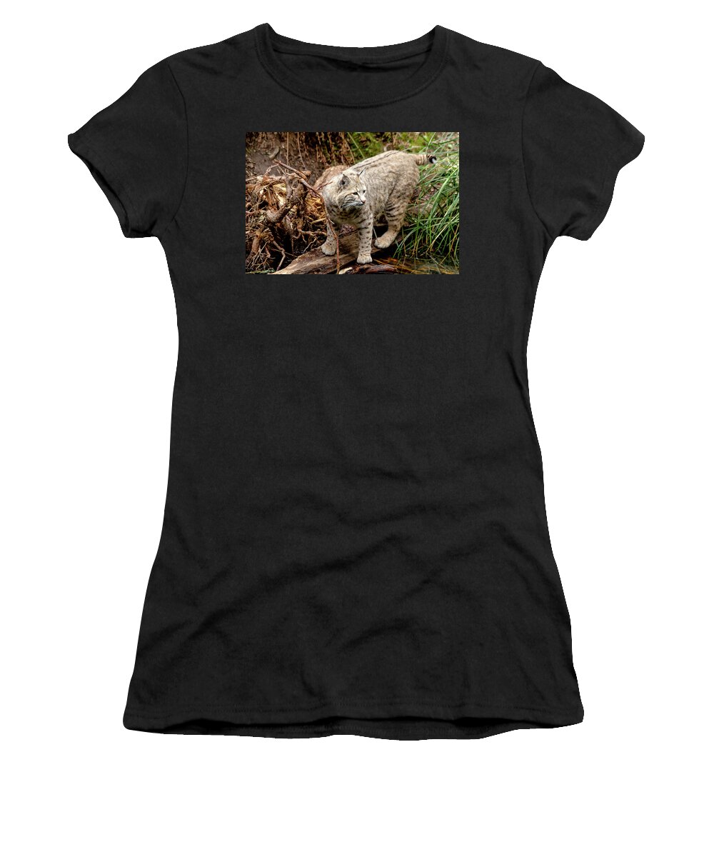 Animal Women's T-Shirt featuring the photograph Close up of Wild Bobcat by Teri Virbickis