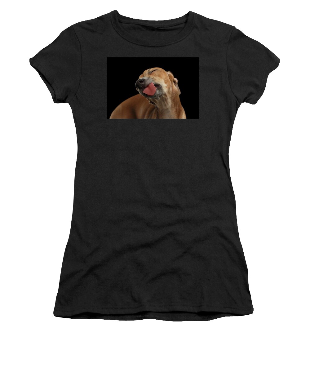 Greyhound Women's T-Shirt featuring the photograph Closeup Cute Italian Greyhound Dog Licked with pleasure isolated Black by Sergey Taran
