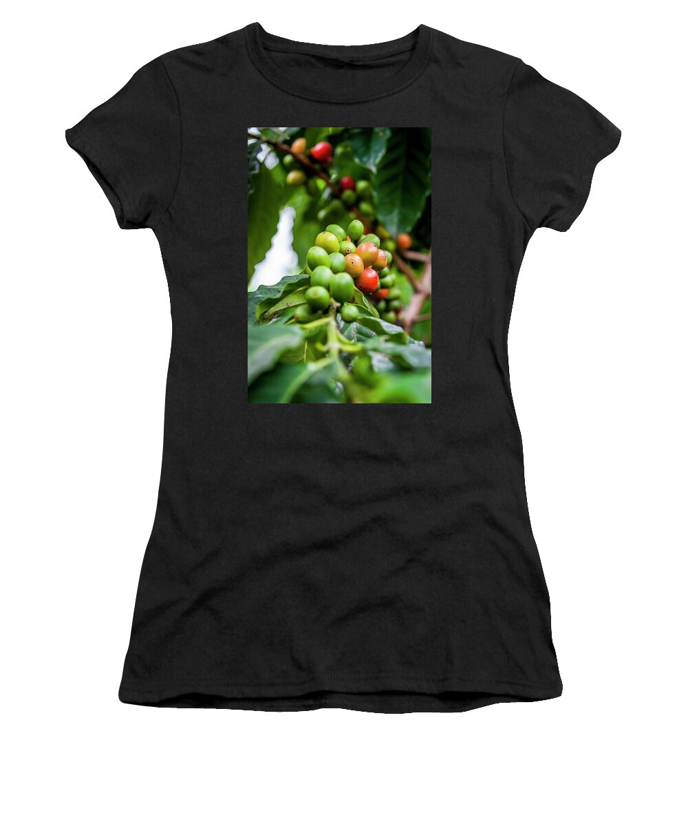 Ecuador Women's T-Shirt featuring the photograph Coffee Plant by Daniel Murphy