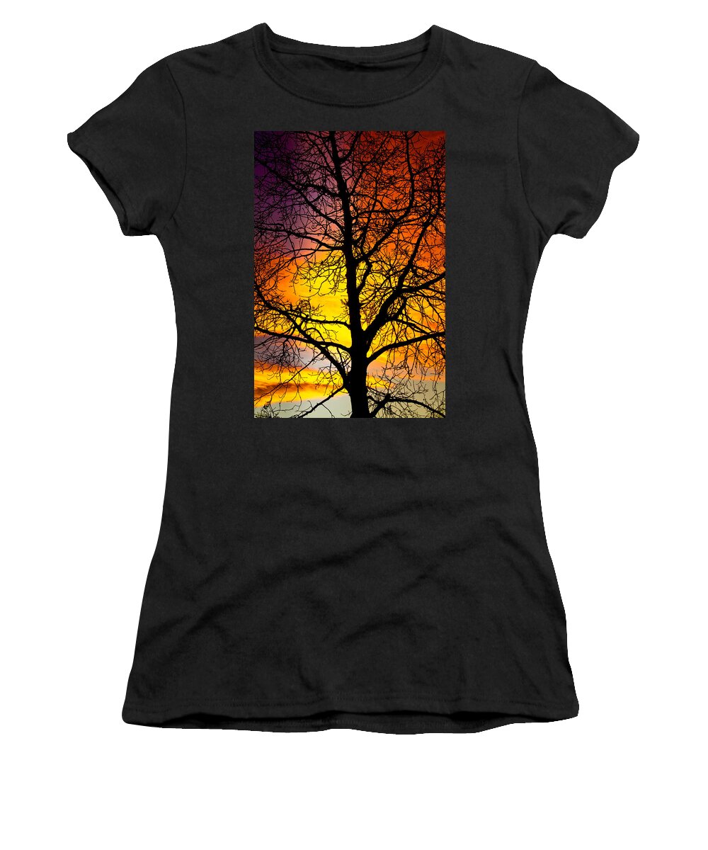 Silhouette Women's T-Shirt featuring the photograph Colorful Silhouette by James BO Insogna