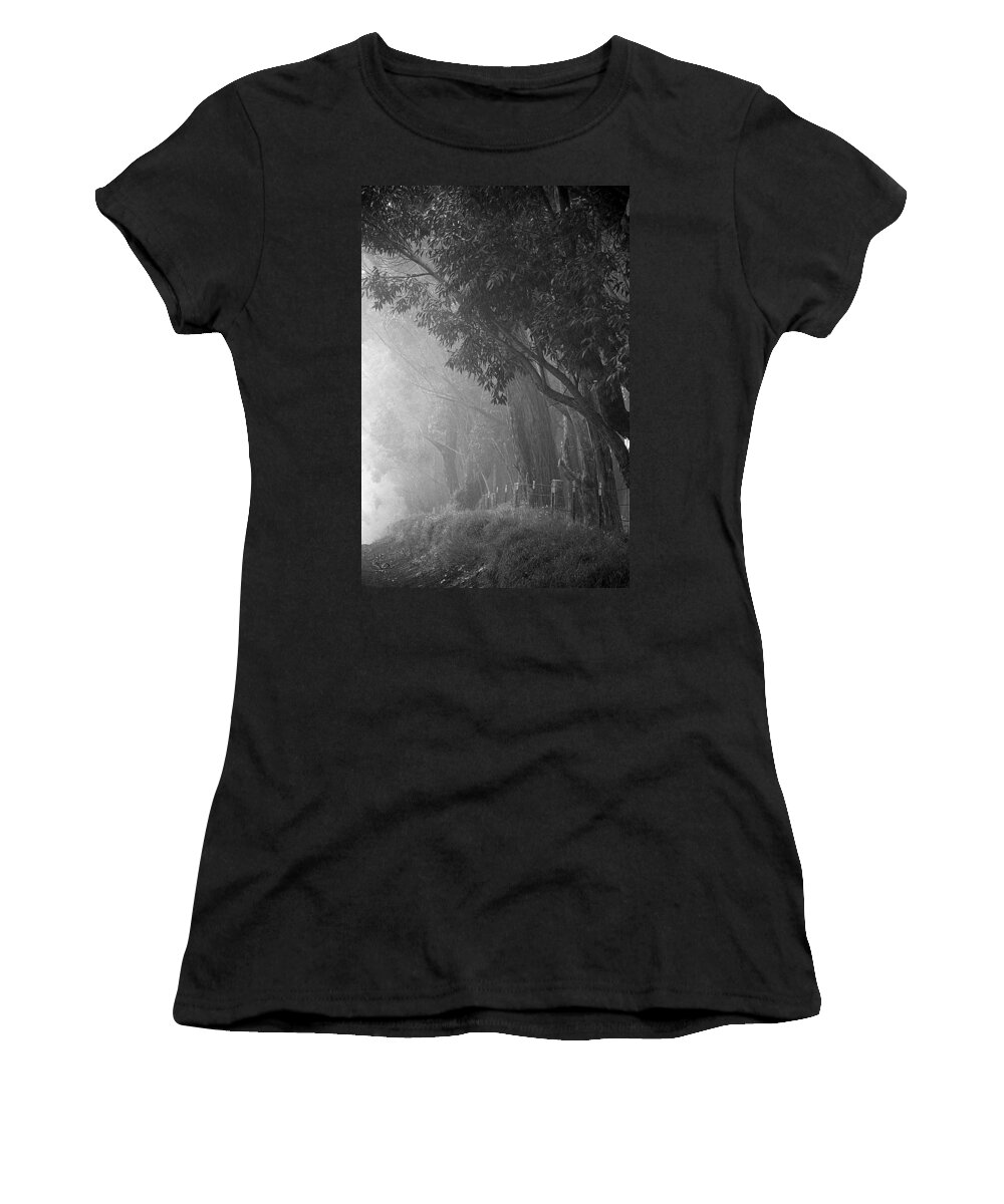 Trees Women's T-Shirt featuring the photograph Corridor of Mist by Lori Seaman