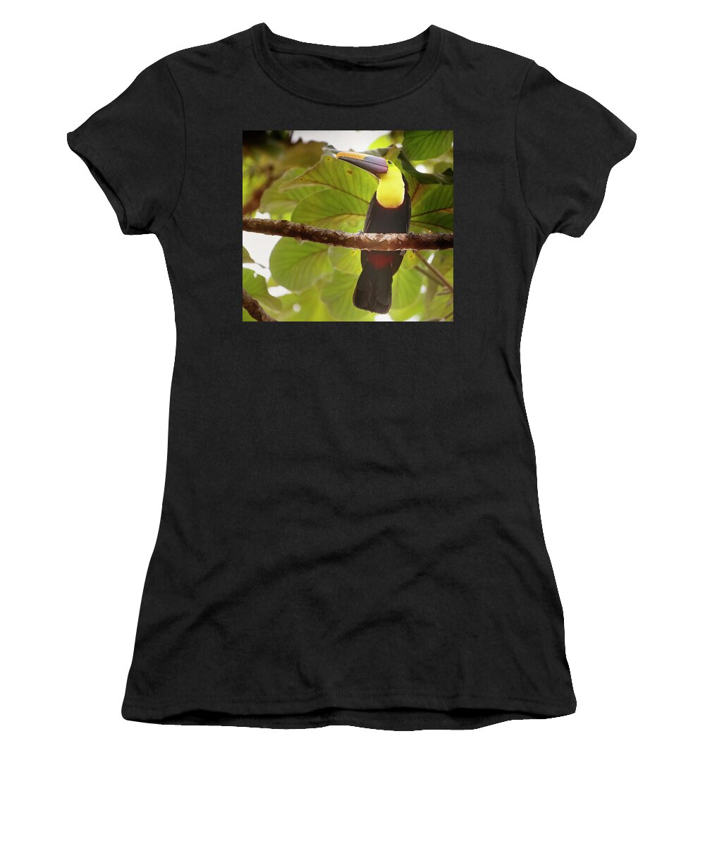Joan Carroll Women's T-Shirt featuring the photograph Costa Rican Toucan by Joan Carroll