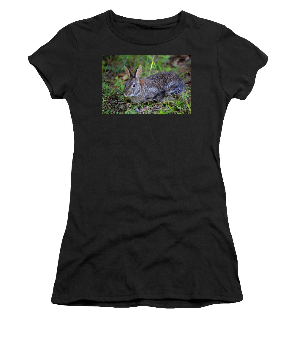Hare Women's T-Shirt featuring the photograph Cottontail Rabbit by Gary Corbett