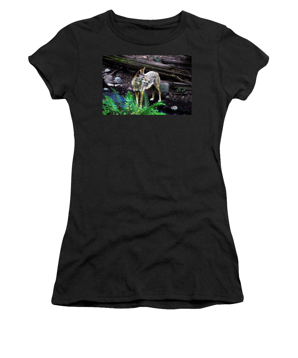 Coyote Women's T-Shirt featuring the photograph Coyote in mid stream by David Lee Thompson