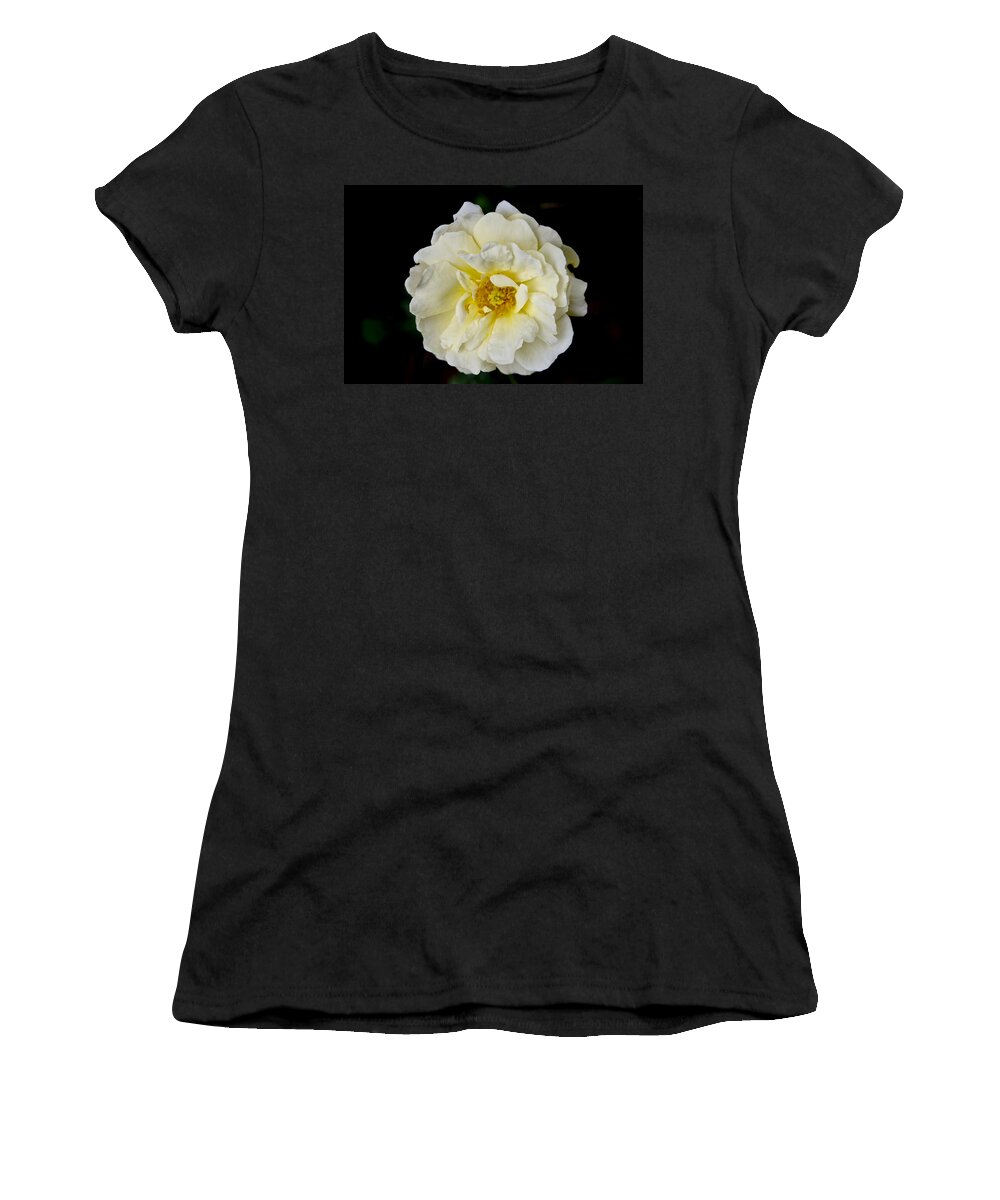 Rose Women's T-Shirt featuring the photograph Cream Rose on Black background. by Elena Perelman