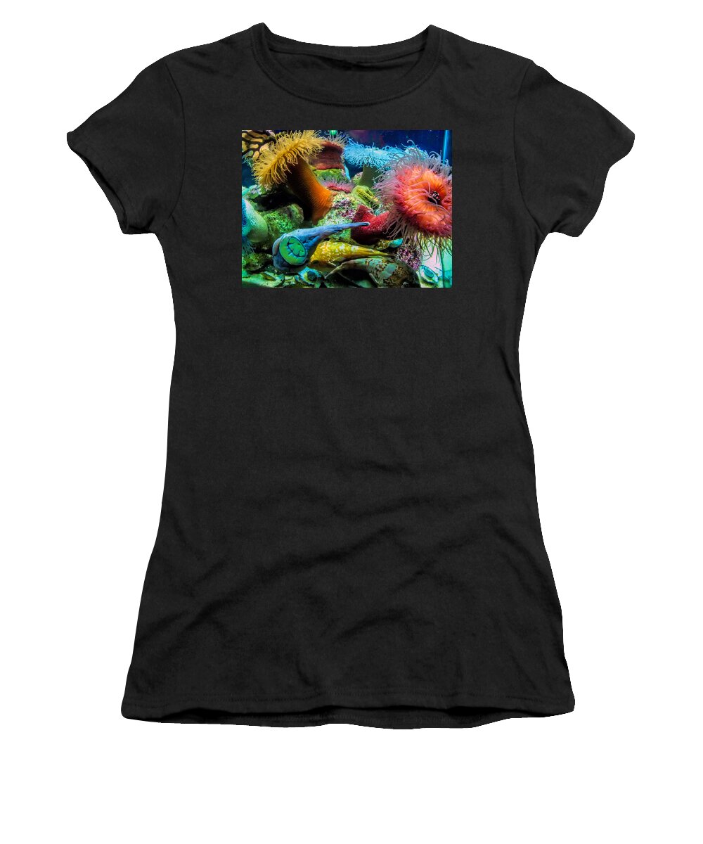 Aquarium Women's T-Shirt featuring the photograph Creatures of the Aquarium by Lynn Bolt