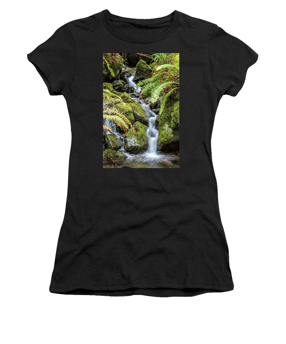 Creek In The Forest Women's T-Shirt featuring the photograph Creek In The Forest by Paul Freidlund