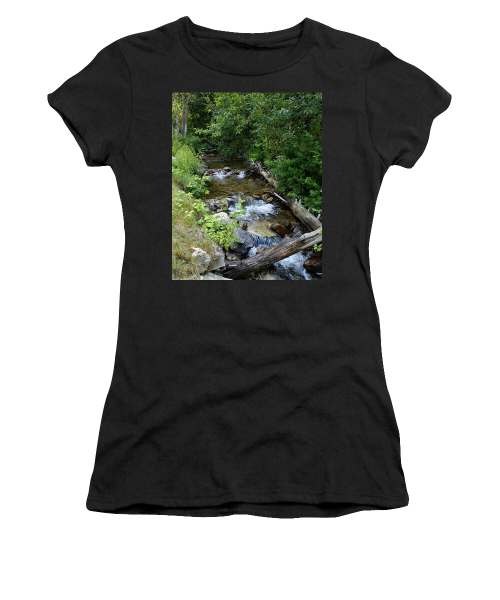 Nature Women's T-Shirt featuring the photograph Creek on Mt. Spokane 1 by Ben Upham III