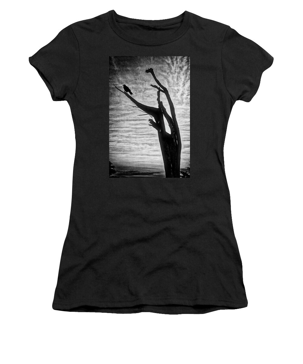 Crow Women's T-Shirt featuring the photograph Crow On Broken Branch by Garry Gay