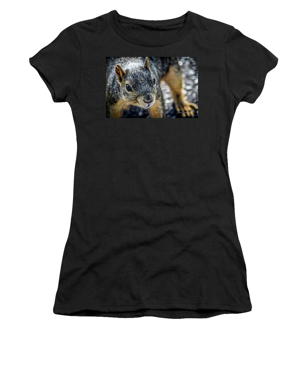 Brown Squirrel Women's T-Shirt featuring the photograph Curious Squirrel by Joann Copeland-Paul