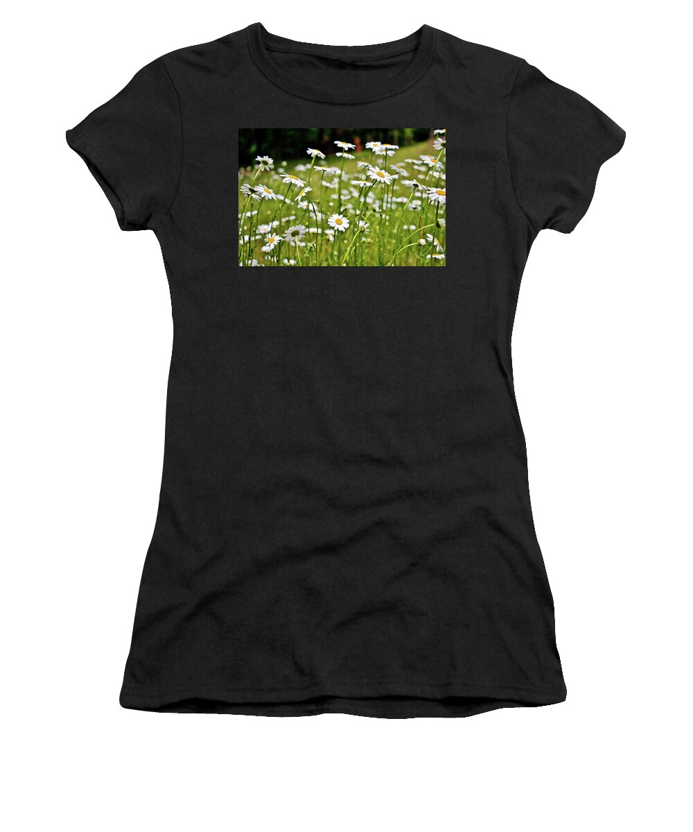 Daisies Women's T-Shirt featuring the photograph Daisies in the Field by Marisa Geraghty Photography