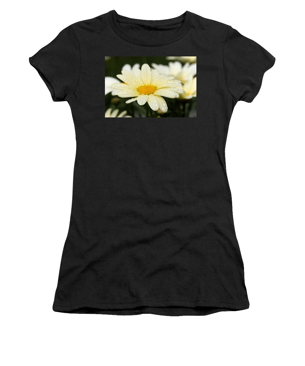 Daisy Women's T-Shirt featuring the photograph Daisy After Shower by Angela Rath