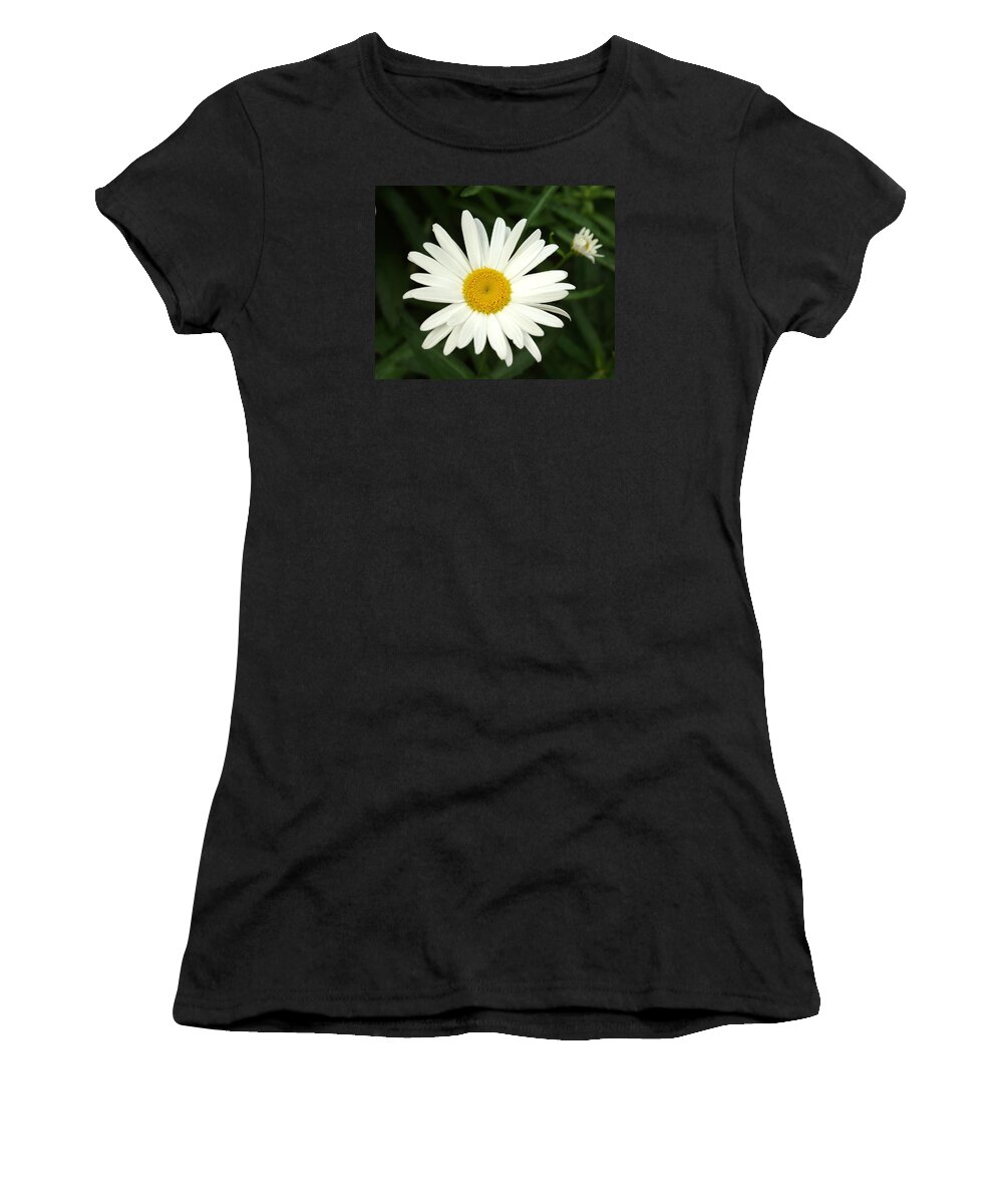 Daisy Women's T-Shirt featuring the photograph Daisy Days by Carol Sweetwood