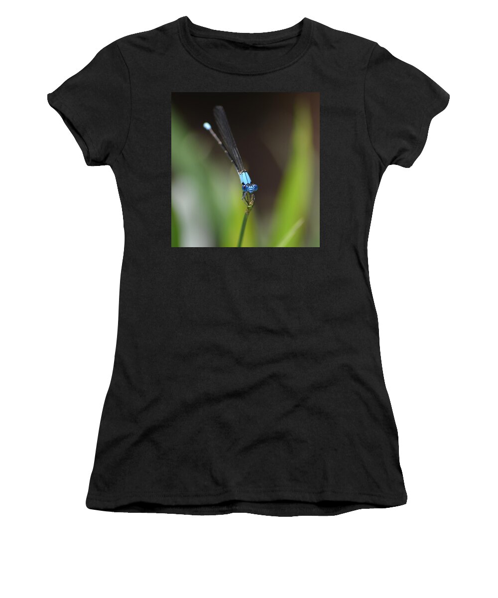 Damselfly Women's T-Shirt featuring the photograph Damselfly by Ronda Ryan