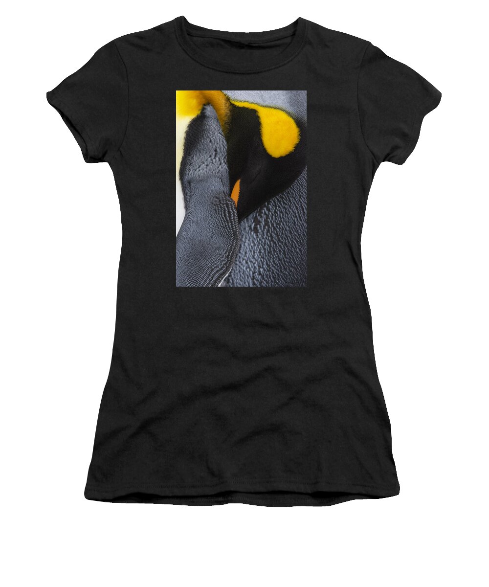 King Penguin Women's T-Shirt featuring the photograph Daydreaming by Tony Beck