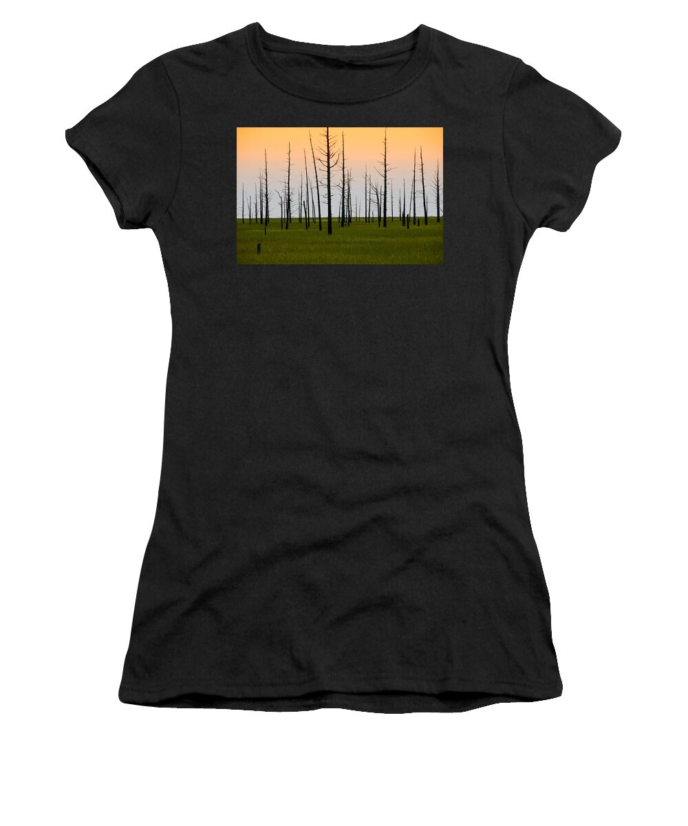 Cedars Women's T-Shirt featuring the photograph Dead Cedars by Louis Dallara