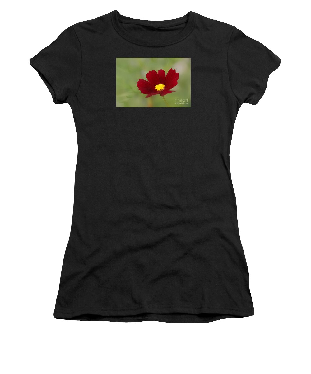 Flowers Women's T-Shirt featuring the photograph Deep in Red by Yumi Johnson