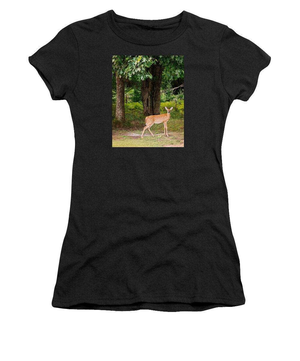 Whitetail Deer Women's T-Shirt featuring the photograph Fawn in the Woods Portrait by Gwen Gibson