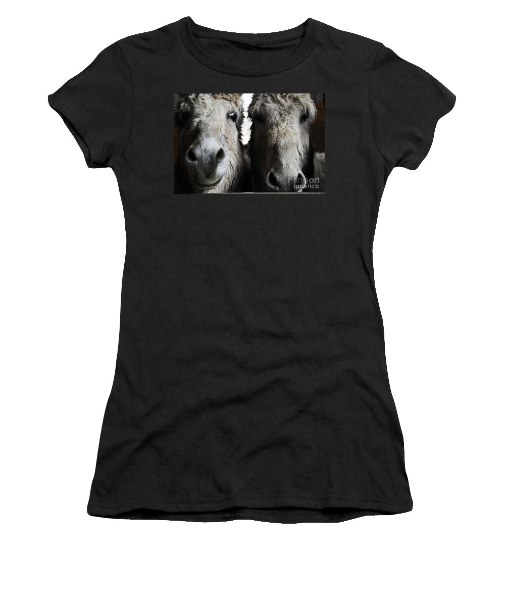 Donkeys Women's T-Shirt featuring the photograph Donkeys #1110 by Carien Schippers