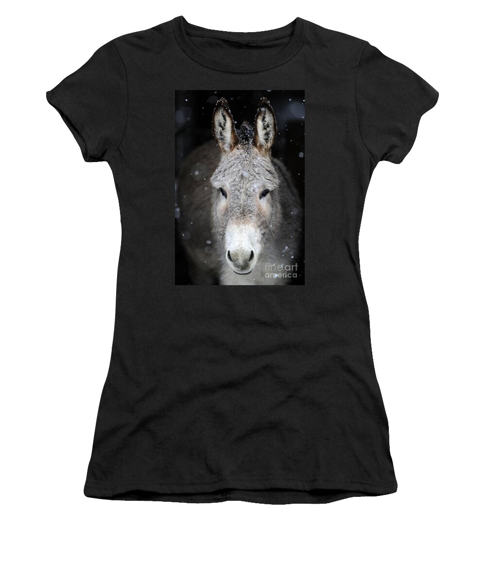 Donkeys Women's T-Shirt featuring the photograph Donkeys #942 by Carien Schippers