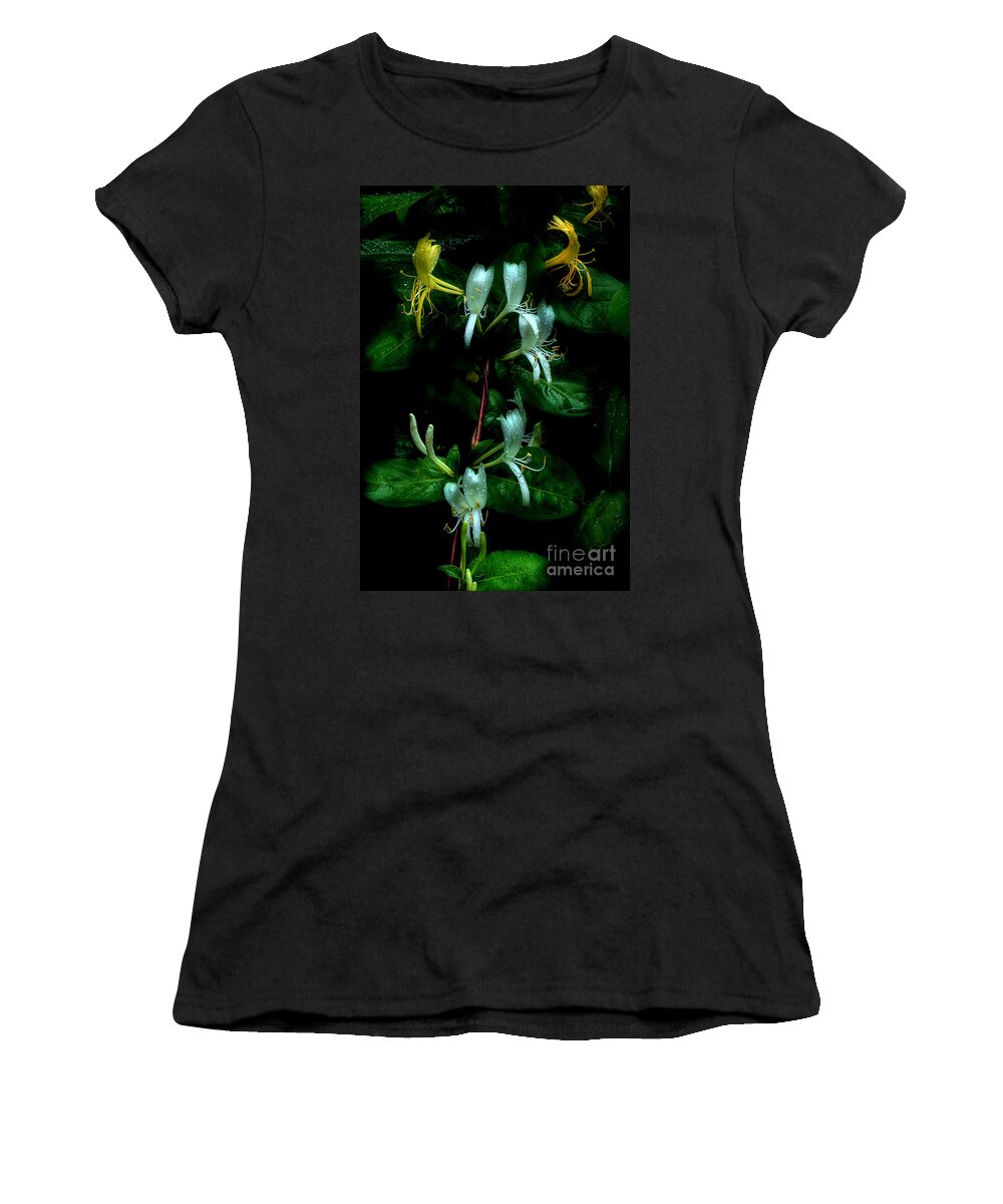 Japanese Honeysuckle Women's T-Shirt featuring the photograph Drifting Scent Of Honeysuckle by Michael Eingle