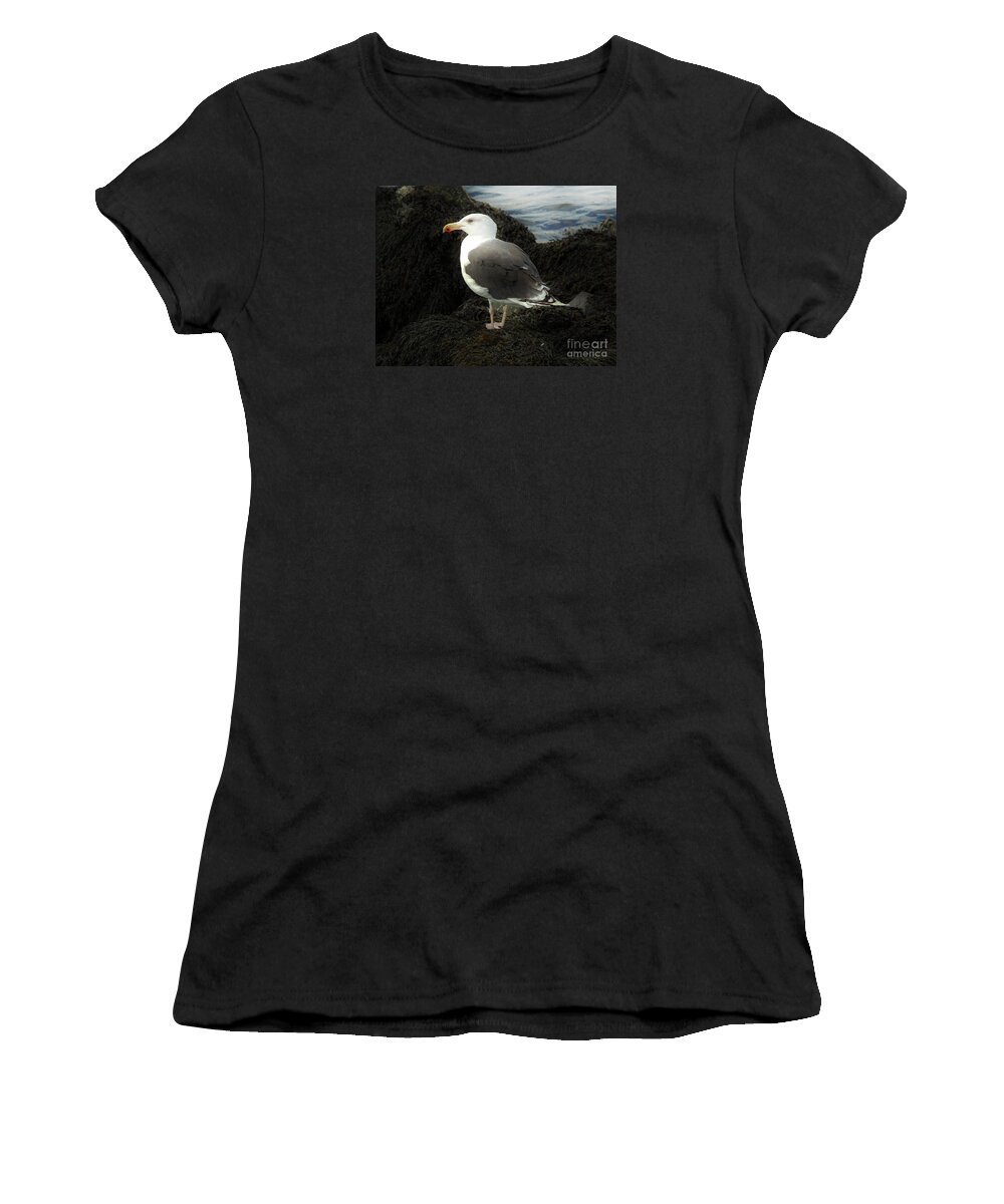 Wildlife Women's T-Shirt featuring the photograph East Coast Herring Seagull by Marcia Lee Jones