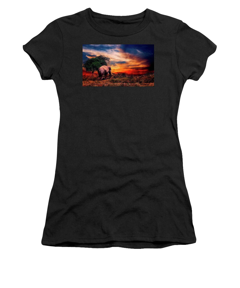 Elephant Women's T-Shirt featuring the photograph Elephant At Sunset by Mountain Dreams