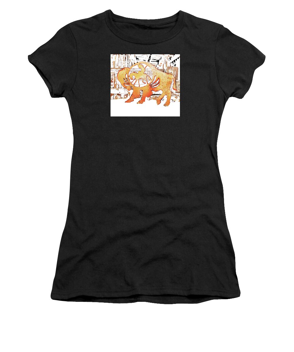 Trail Of Tears Women's T-Shirt featuring the photograph End of the Trail 3 by Larry Campbell