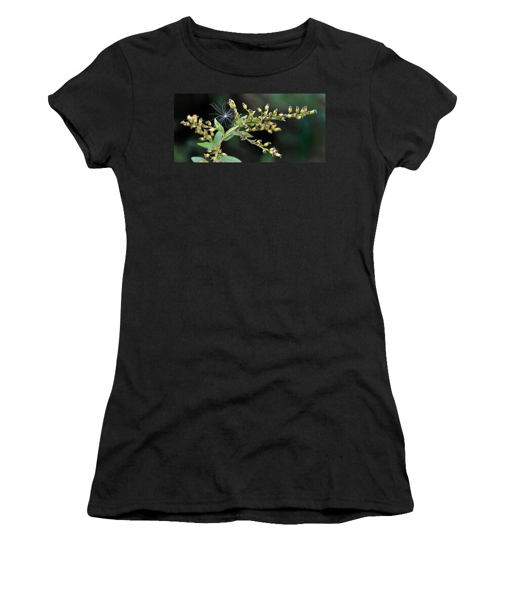 Thistle Women's T-Shirt featuring the photograph Entrapped by Mark Fuller