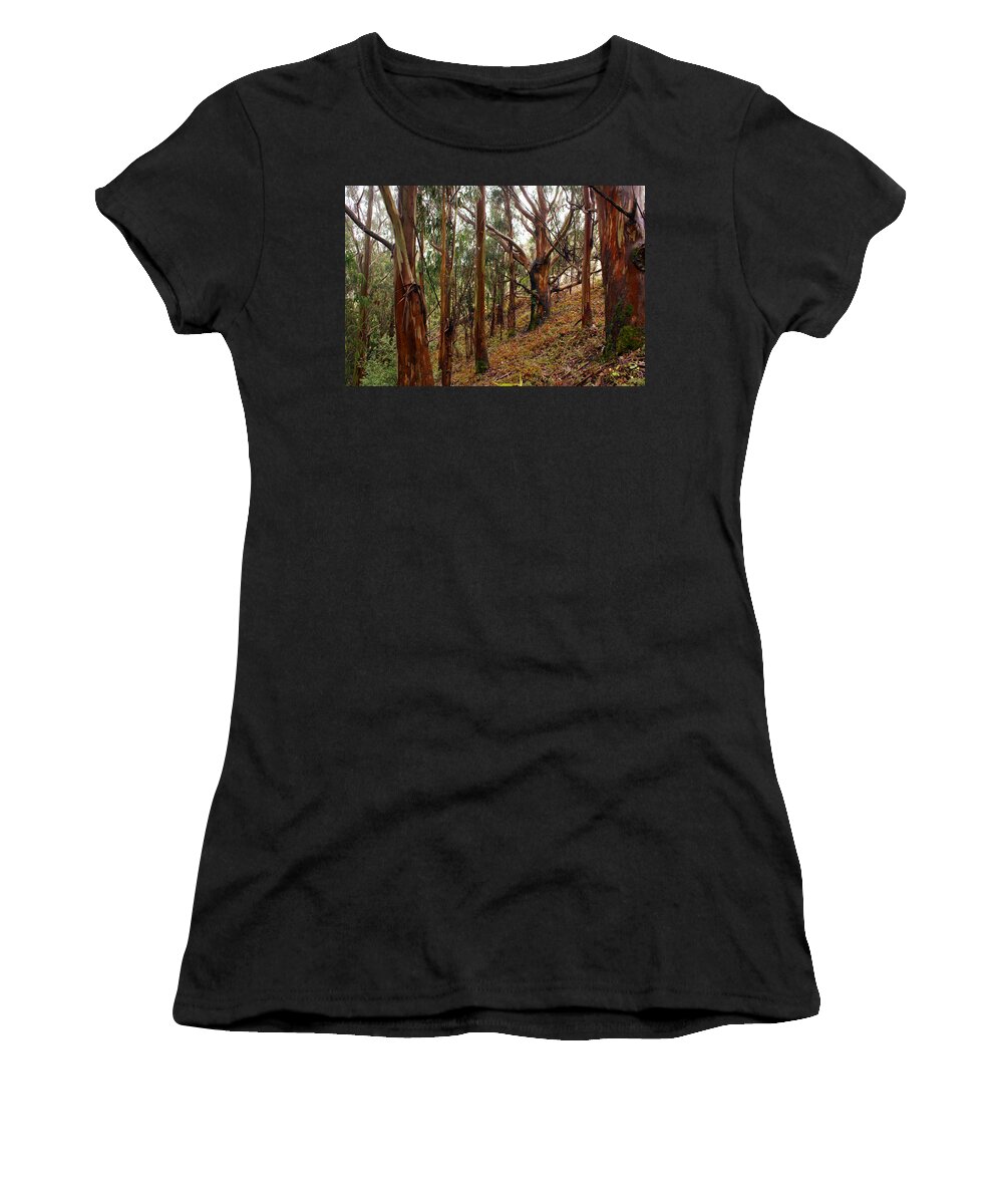 Forest Women's T-Shirt featuring the photograph Eucalyptus Grove in California by Ben Upham III