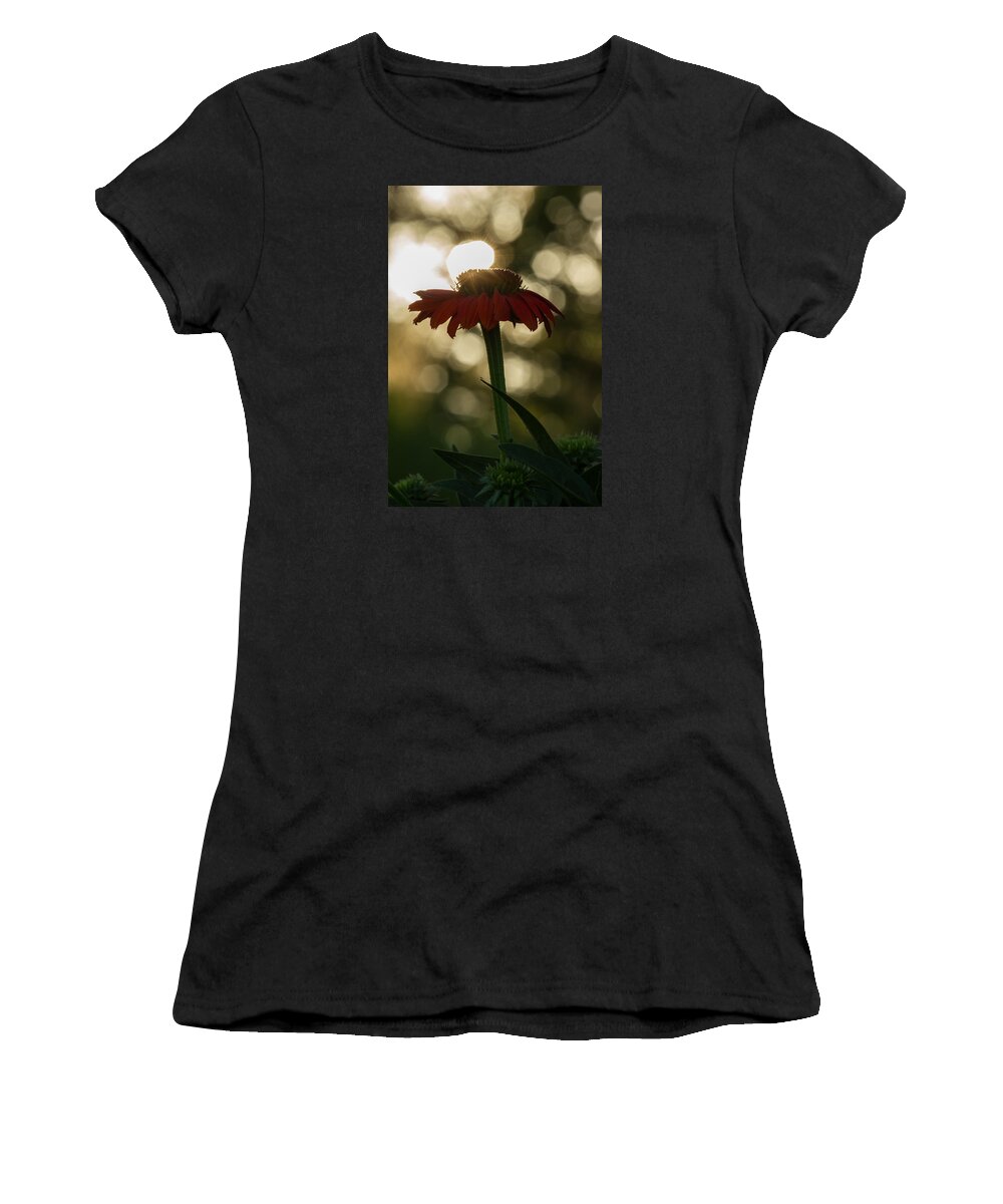 Flower Women's T-Shirt featuring the photograph Evening Elegance by Penny Meyers