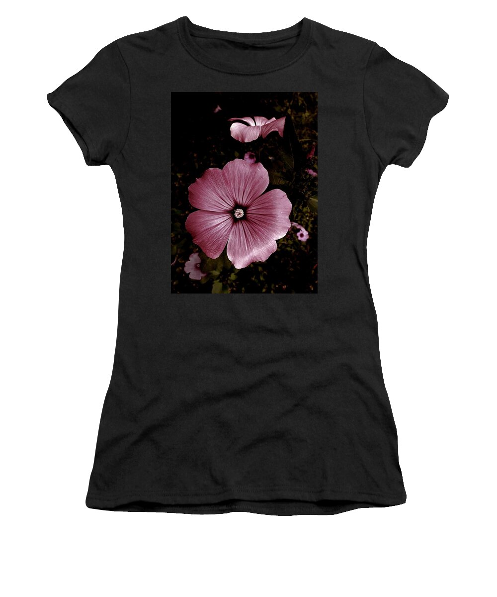 Flower Women's T-Shirt featuring the photograph Evening Rose Mallow by Danielle R T Haney