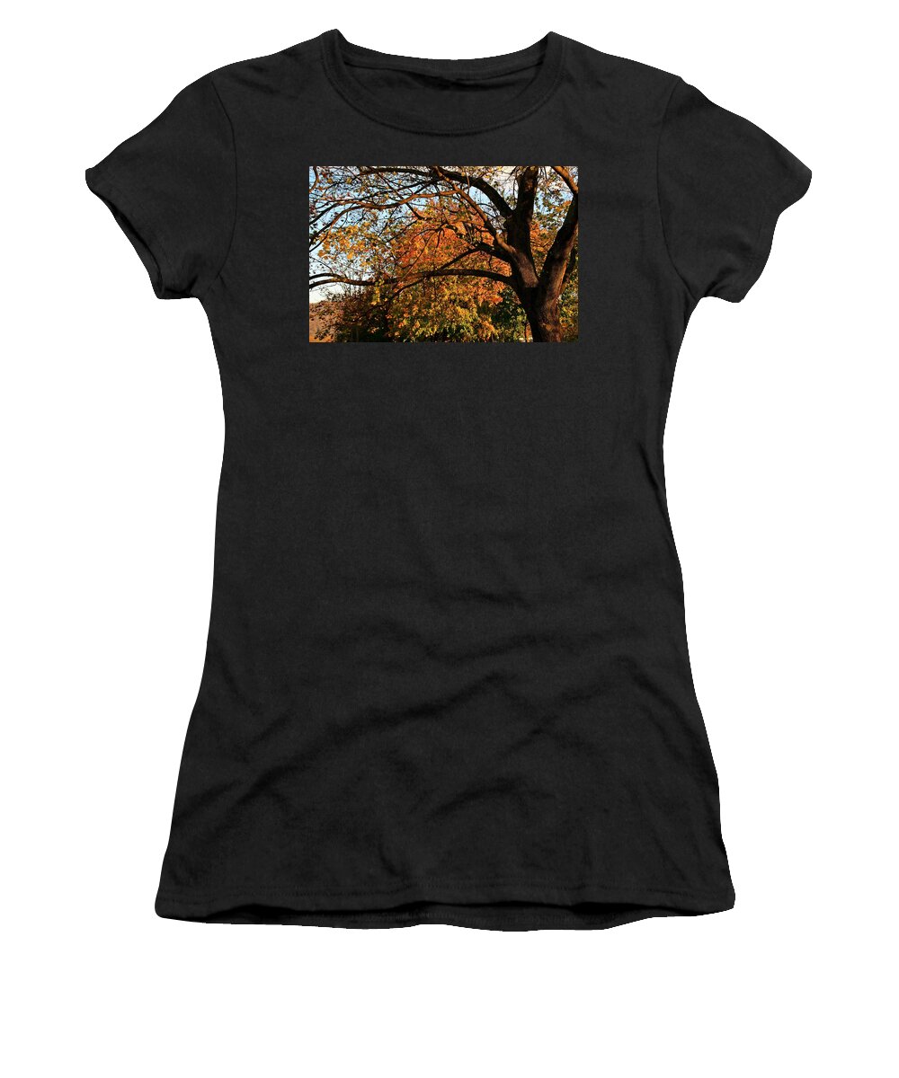 Fall Women's T-Shirt featuring the photograph Fall colors 17 by Karl Rose