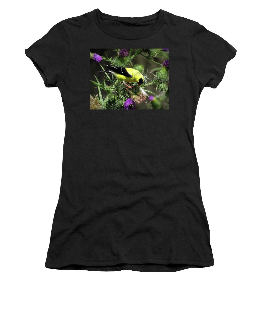 American Goldfinch Women's T-Shirt featuring the photograph Favorite food of Goldfinch by Lilia S