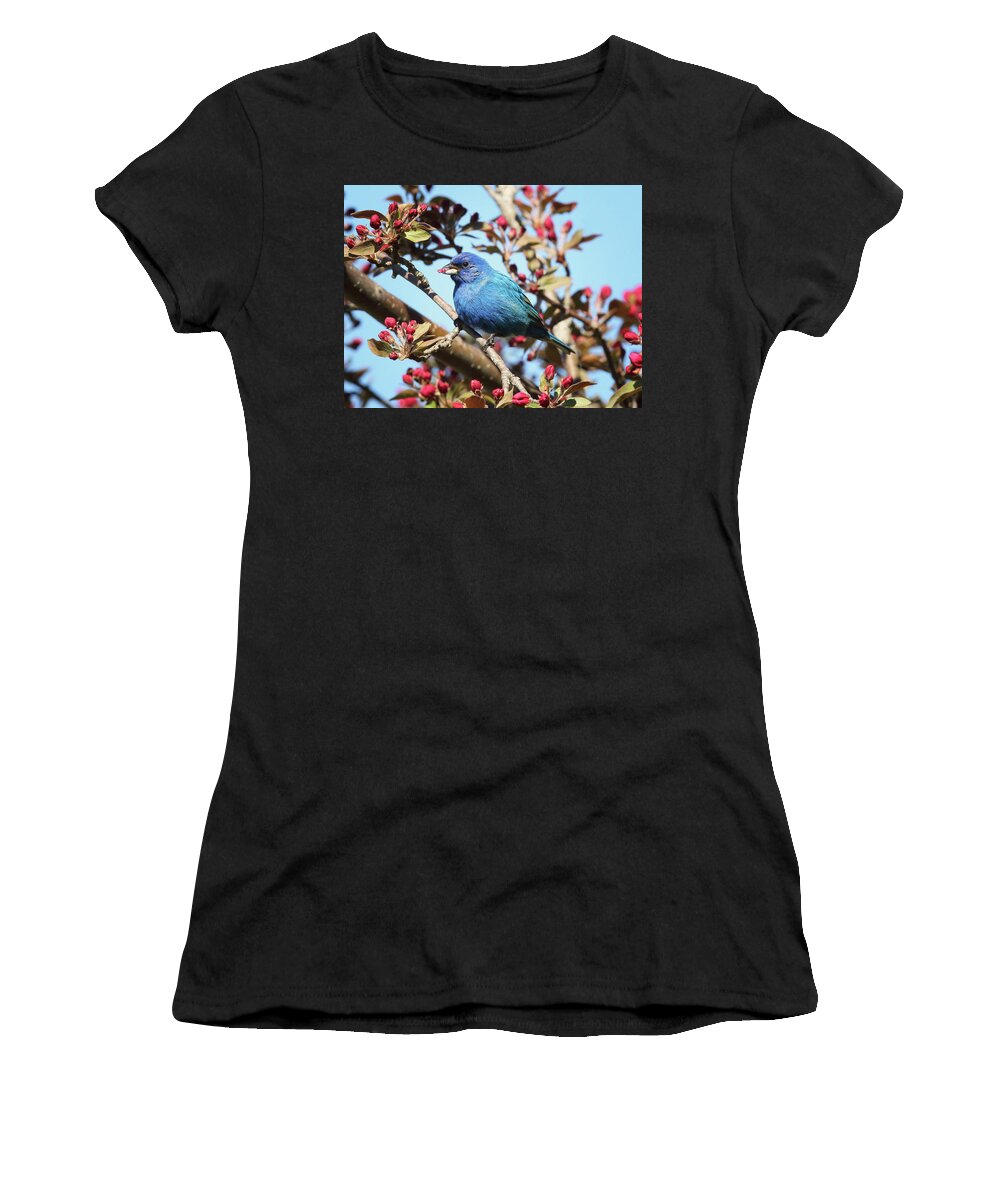Indigo Bunting Women's T-Shirt featuring the photograph Feeding on the Buds by Duane Cross