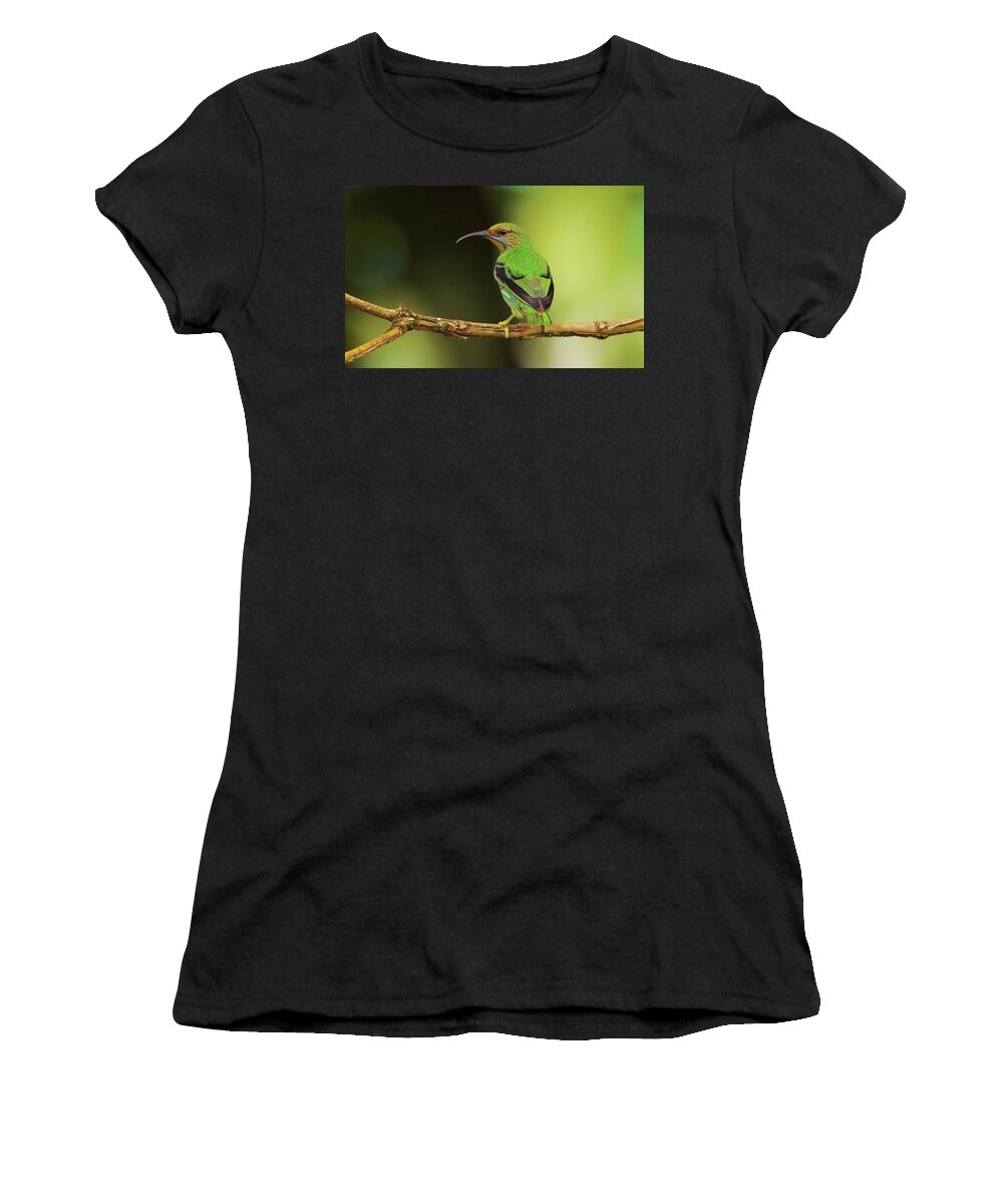 Asa Wright Nature Centre Women's T-Shirt featuring the photograph Female Green Honeycreeper at Trinidad's Asa Wright by Steve Wolfe