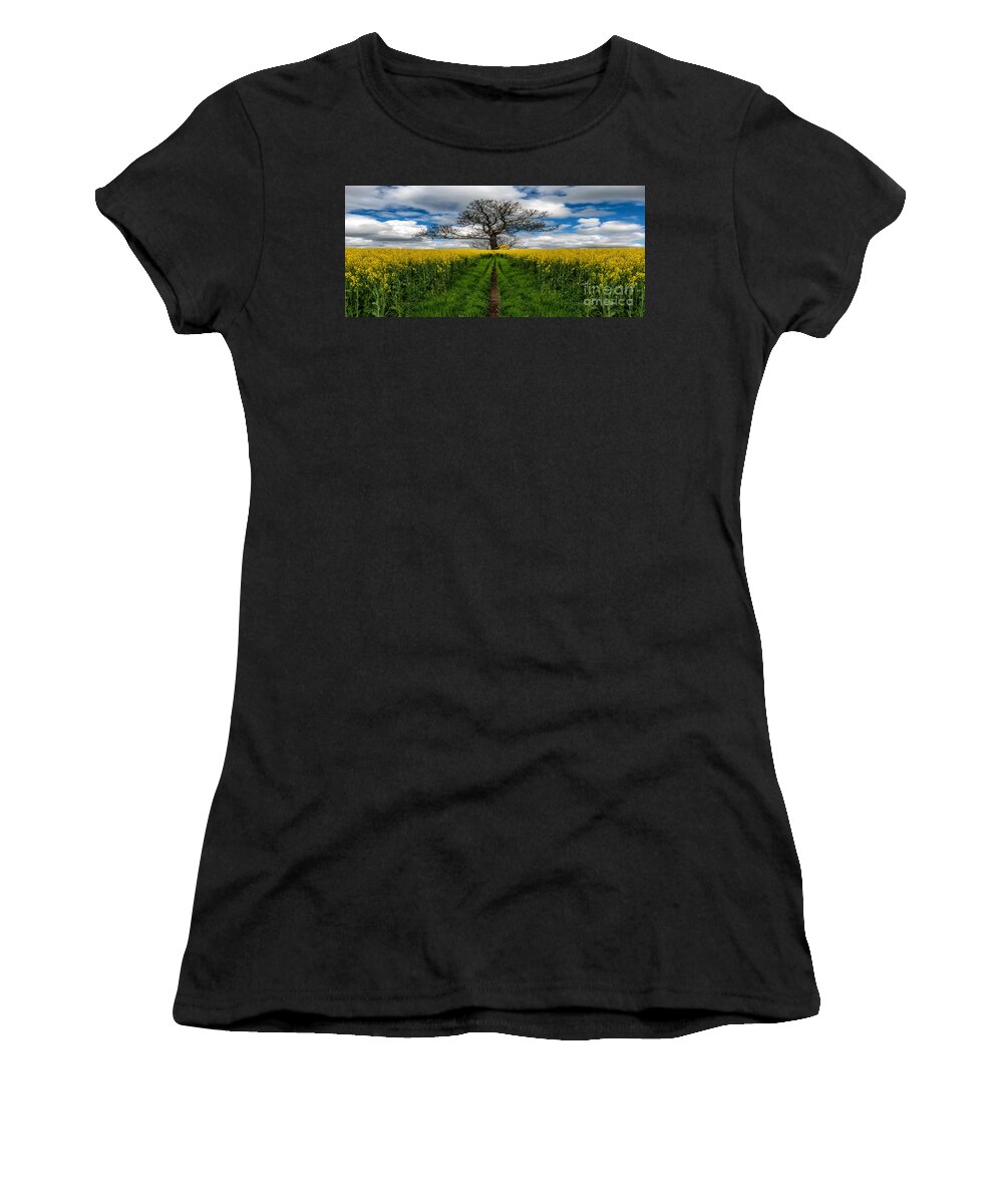 Yellow Field Women's T-Shirt featuring the photograph Field Of Rapeseeds by Adrian Evans