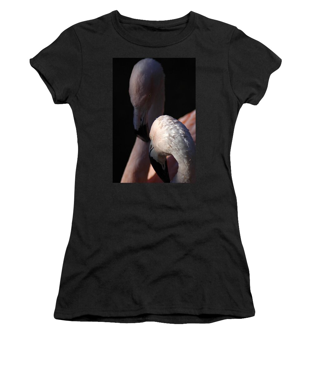 Pair Women's T-Shirt featuring the photograph Flamingo Study - 1 by DArcy Evans