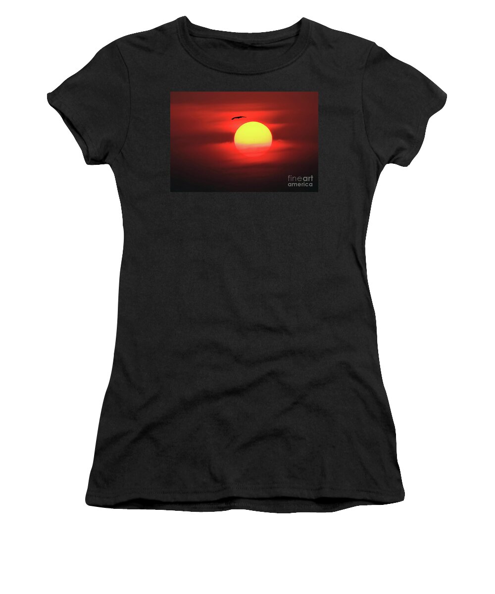 Sun Women's T-Shirt featuring the photograph Flight to the Sun by Roger Becker