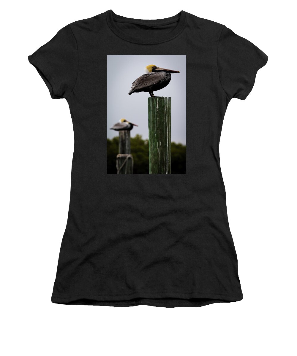 Florida Women's T-Shirt featuring the photograph Florida Brown Pelican by Susie Weaver
