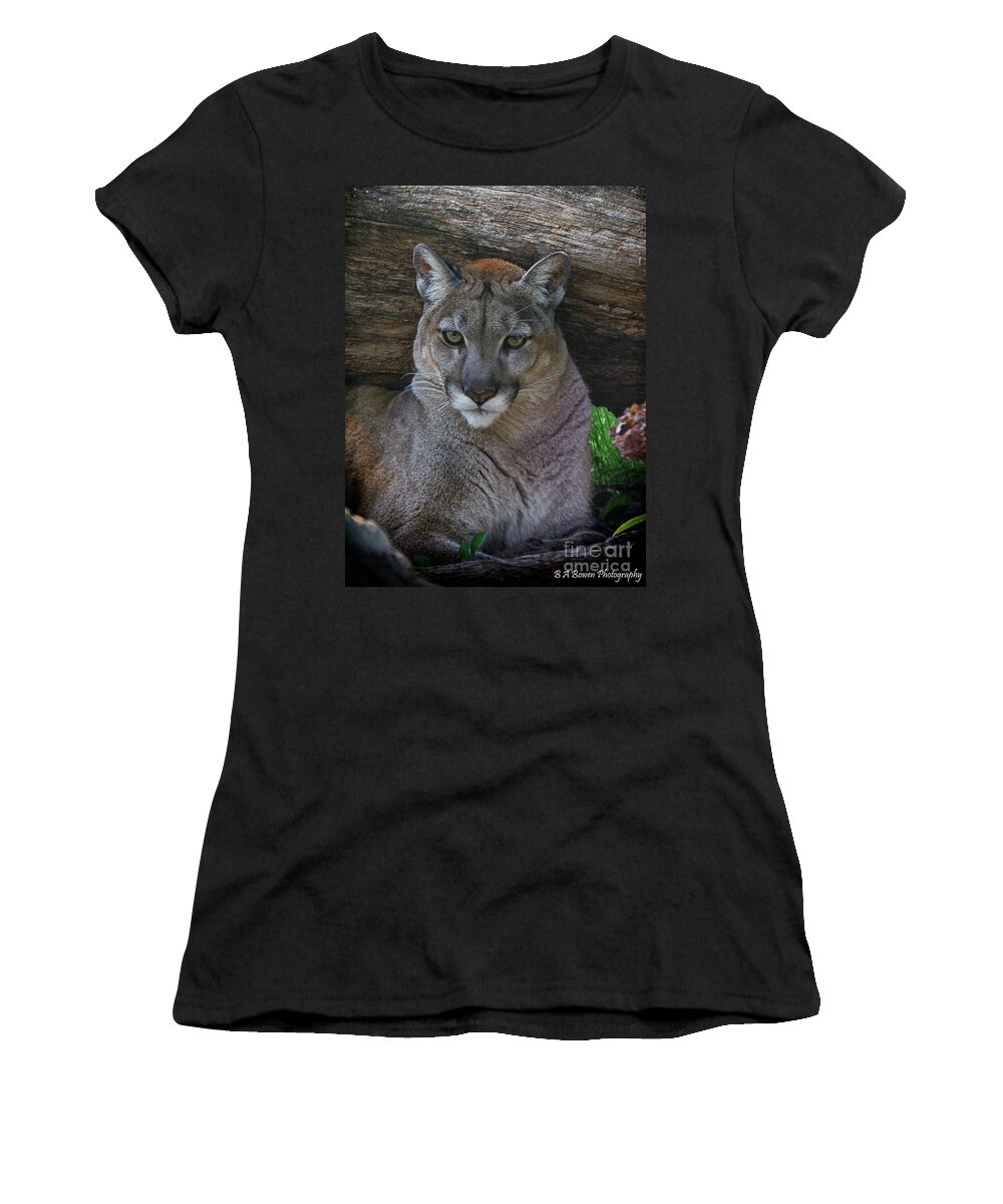 Florida Panther Women's T-Shirt featuring the photograph Florida Panther by Barbara Bowen