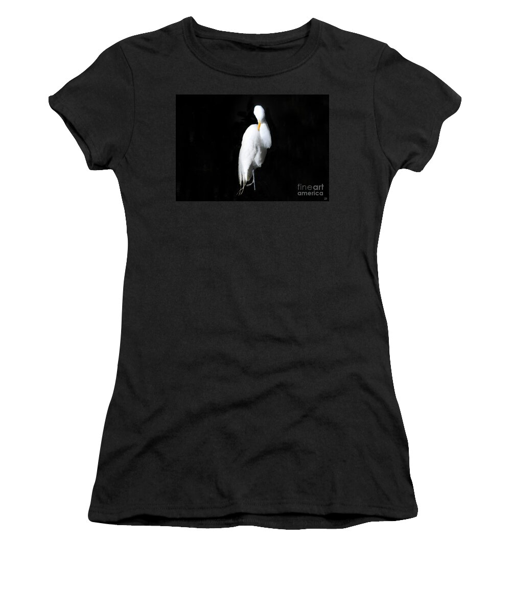 Fluffing Women's T-Shirt featuring the painting Fluffing by David Lee Thompson