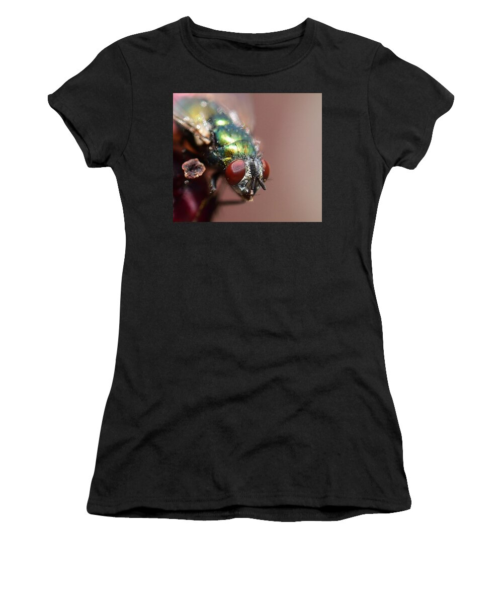 Linda Brody Women's T-Shirt featuring the photograph Fly Eyes by Linda Brody