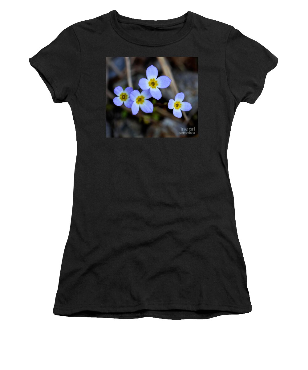 Spring Women's T-Shirt featuring the photograph Four Bluettes by Amy Porter