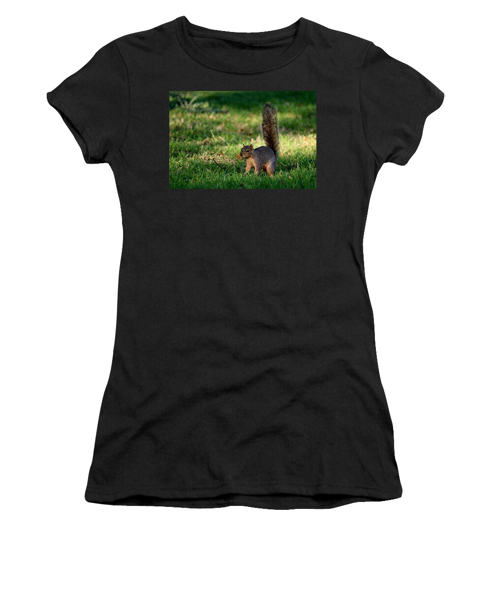 Squirrel Women's T-Shirt featuring the photograph Freeze by Christy Pooschke