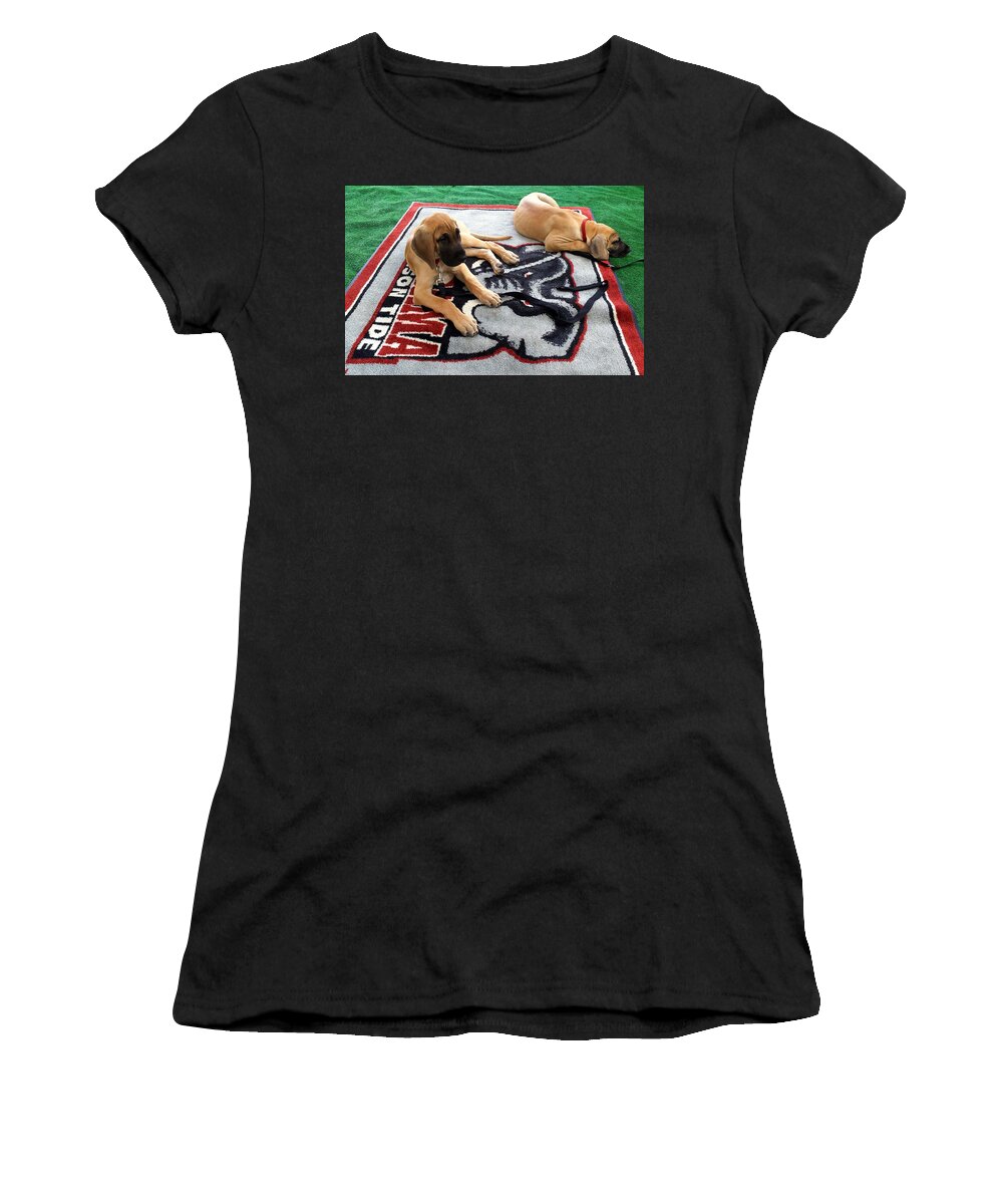 Gameday Women's T-Shirt featuring the photograph Gameday Great Dane Puppies by Kenny Glover