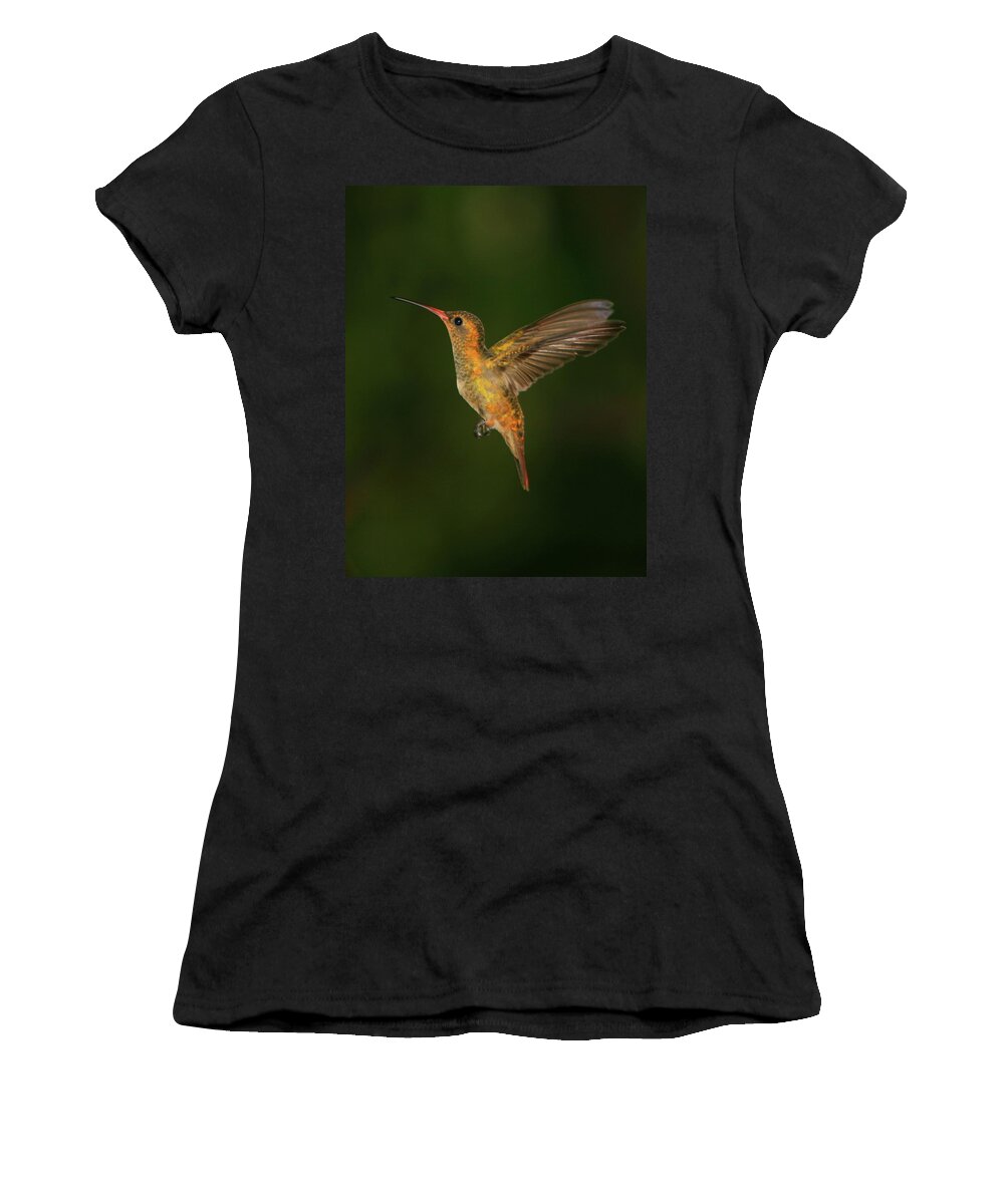 Gilded Women's T-Shirt featuring the photograph Gilded Hummingbird by Bruce J Robinson